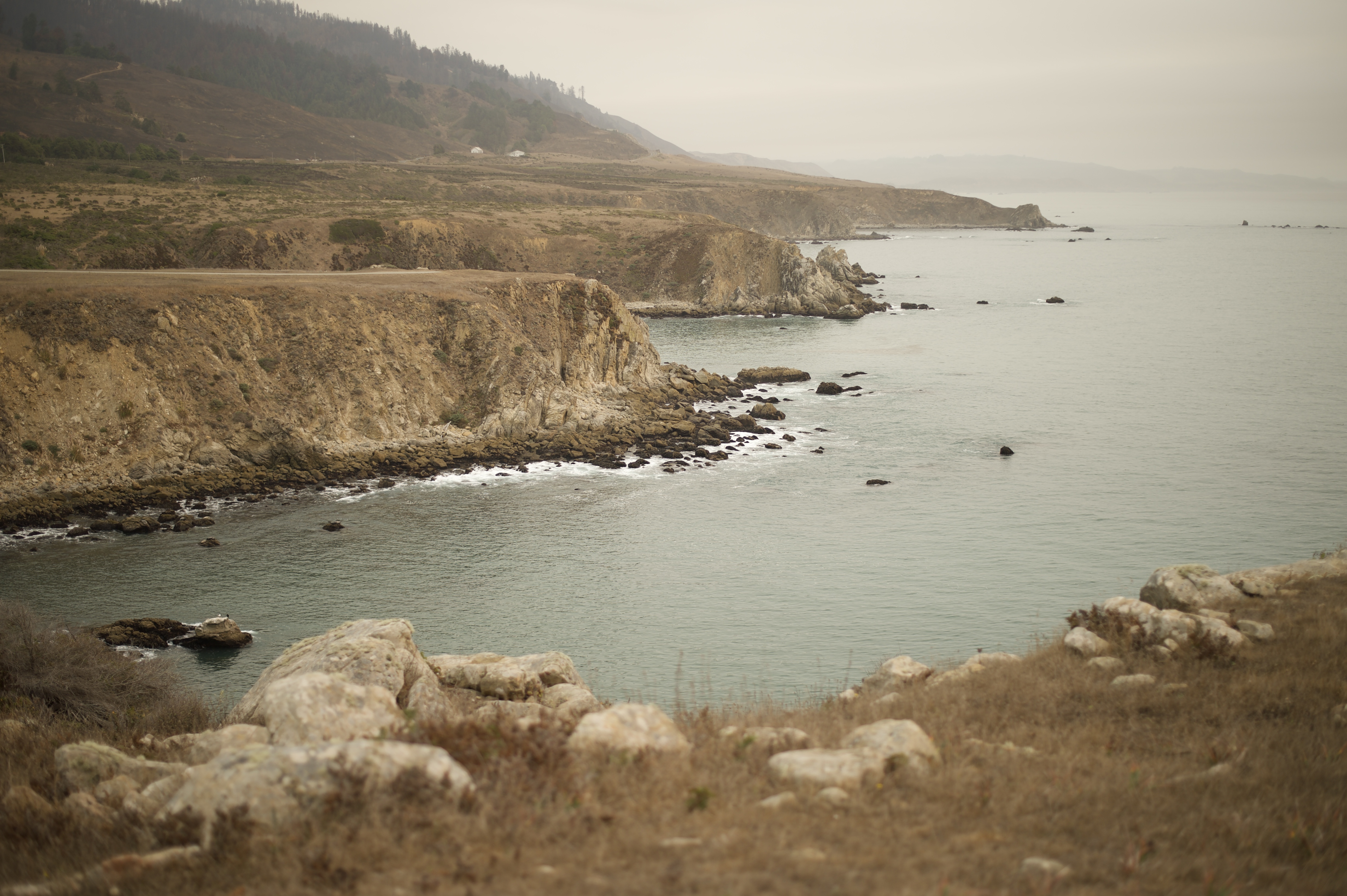 Fort Ross Ocean